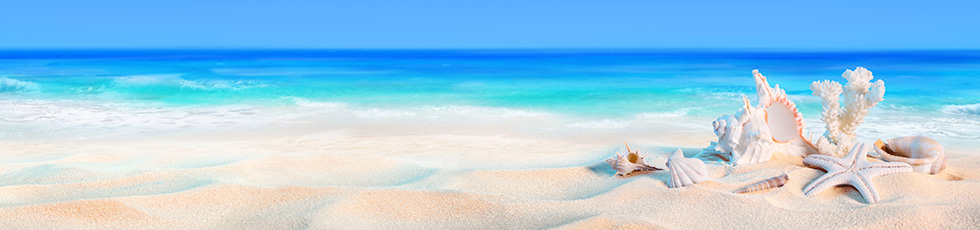 Gesunde Zähne erhalten die Lebensqualität